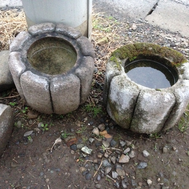 かぼちゃ型の蹲踞つくばい